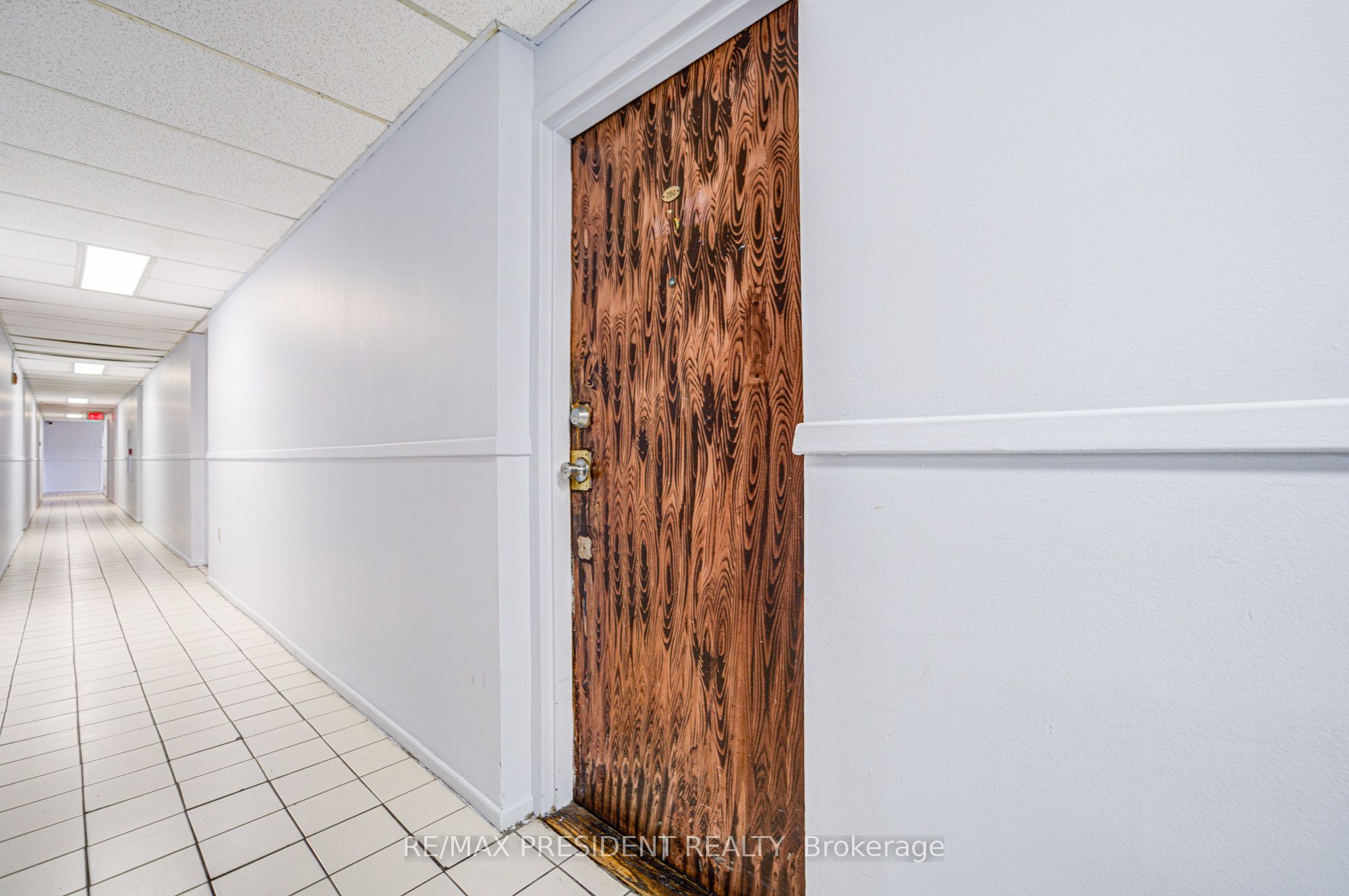 10 Eddystone Avenue 250 Property Photo 5