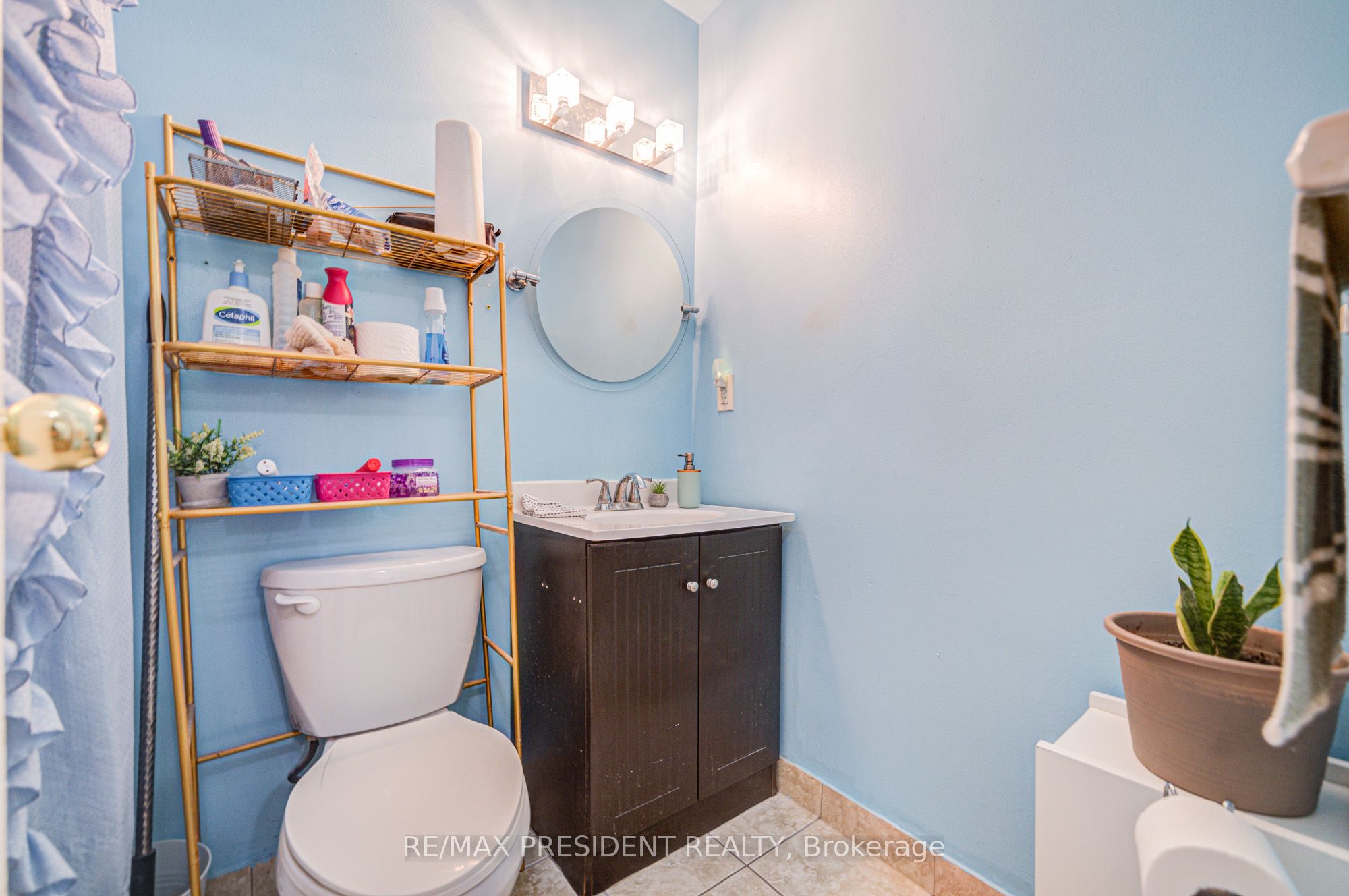 10 Eddystone Avenue 250 Property Photo 27