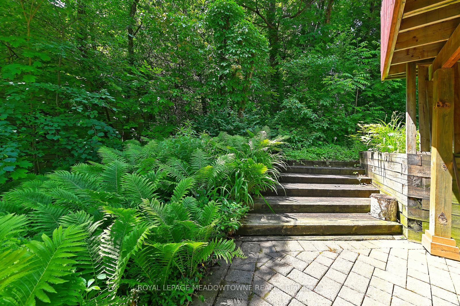 4 Ann Street Property Photo 40