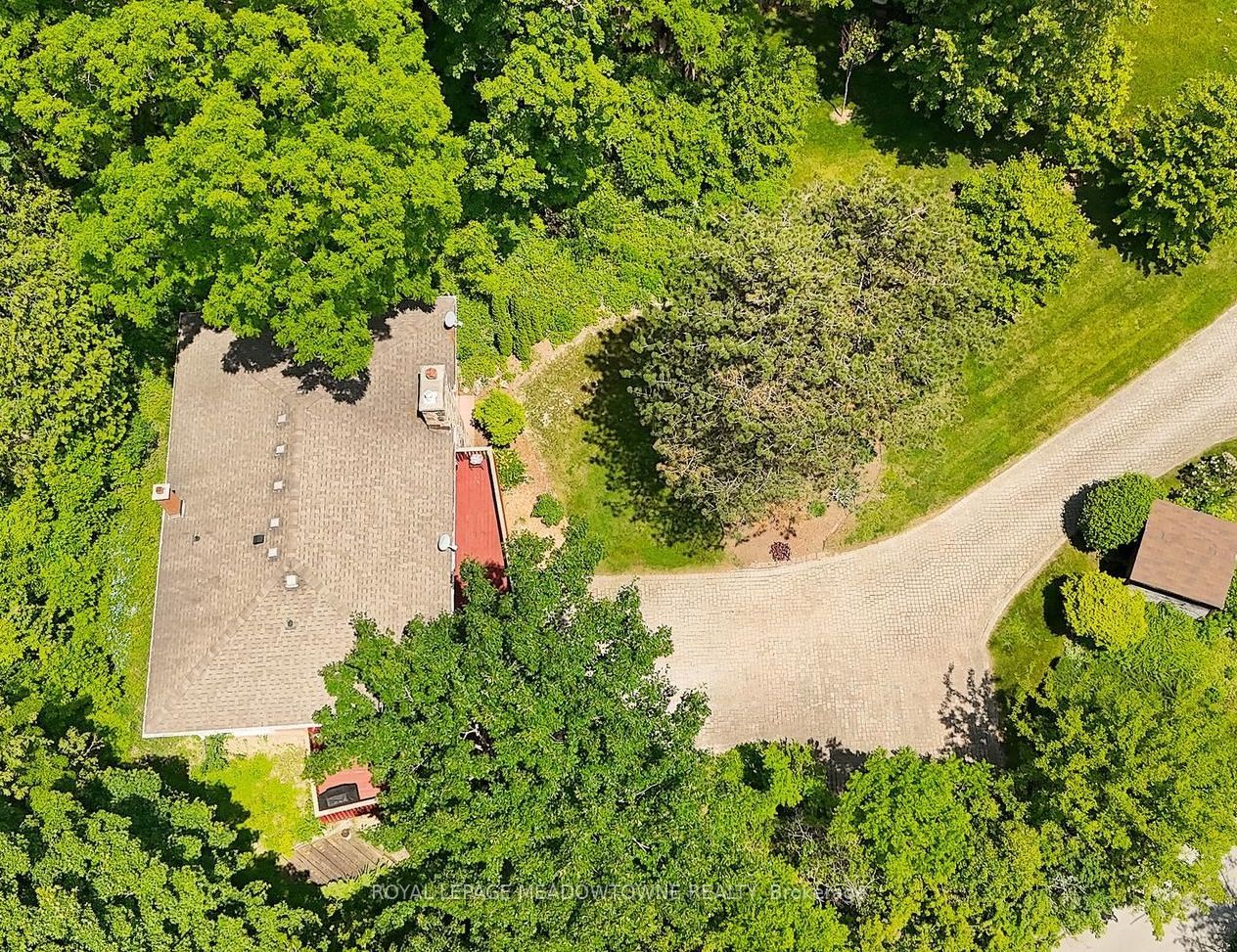 4 Ann Street Property Photo 45