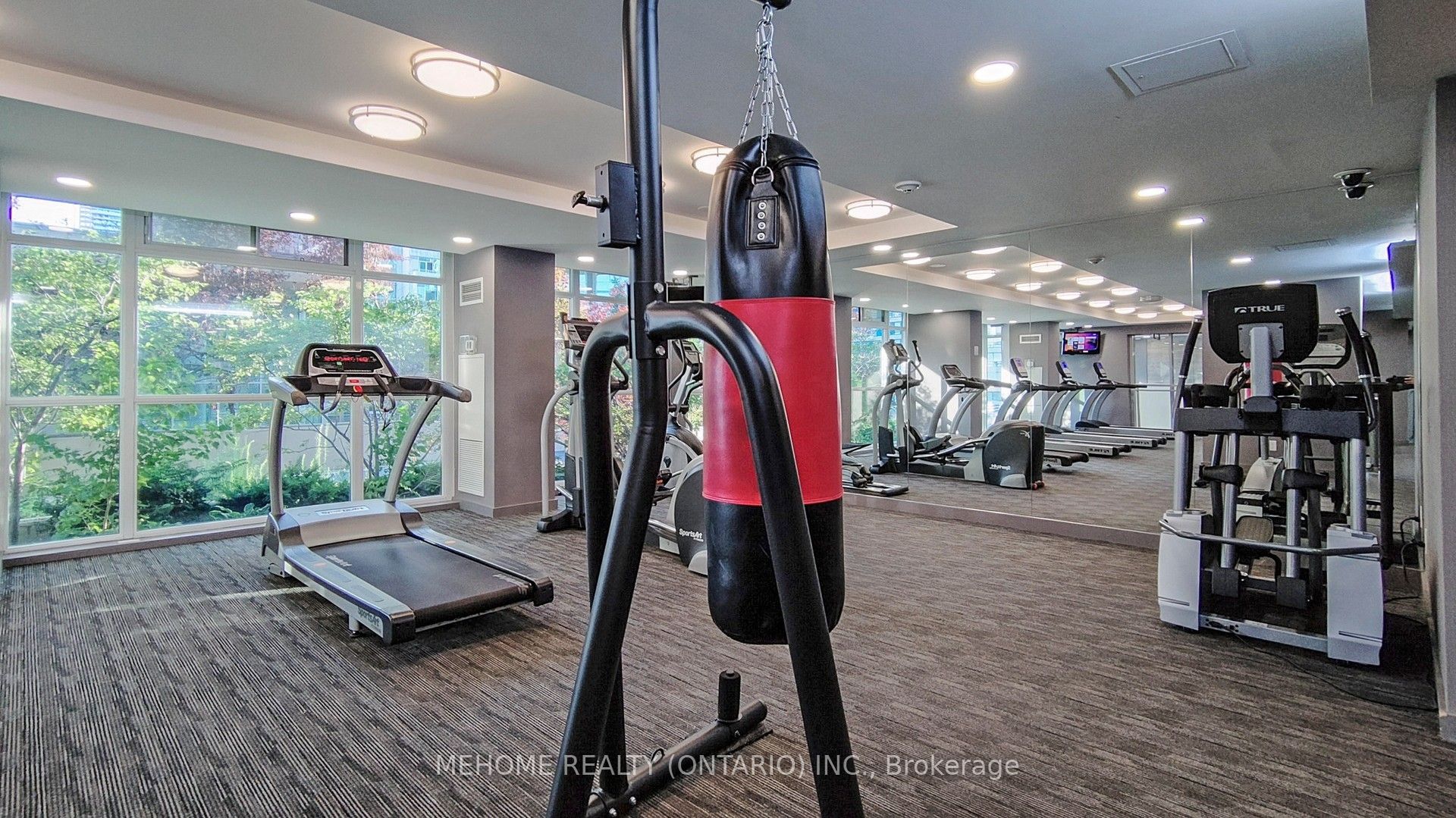 223 Webb Drive 2103 Property Photo 42