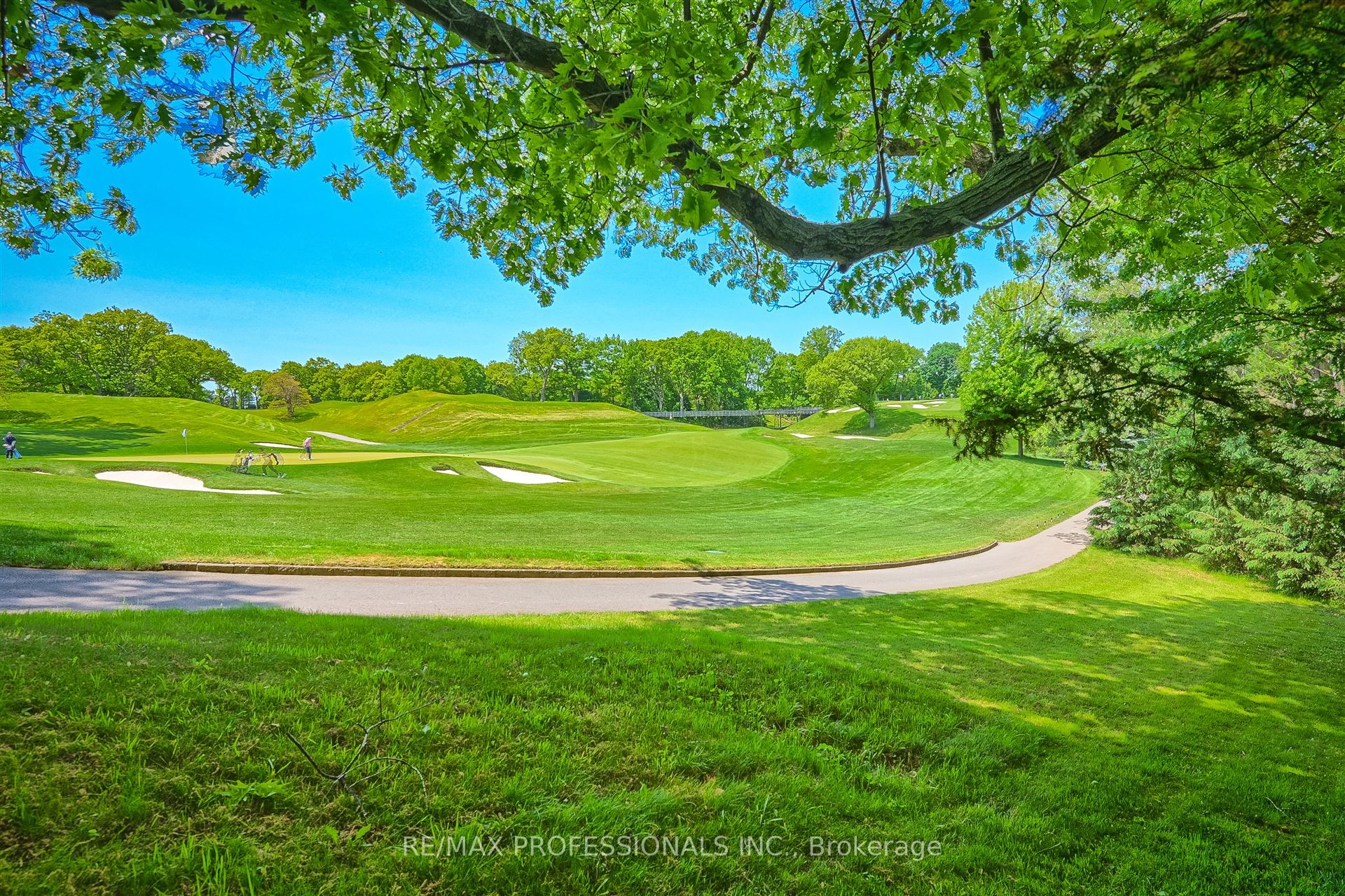 6a Edenbrook Hill Property Photo 45