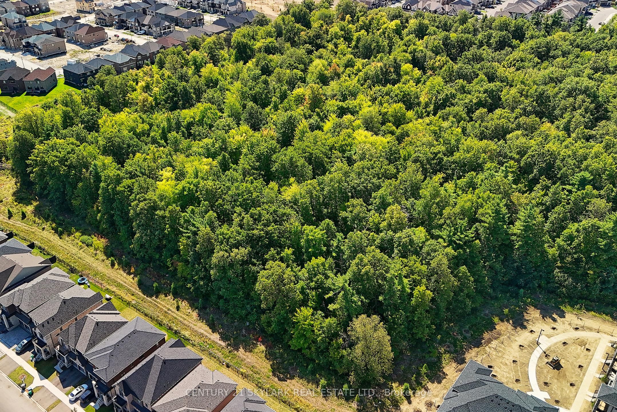 154 Petch Avenue Property Photo 48