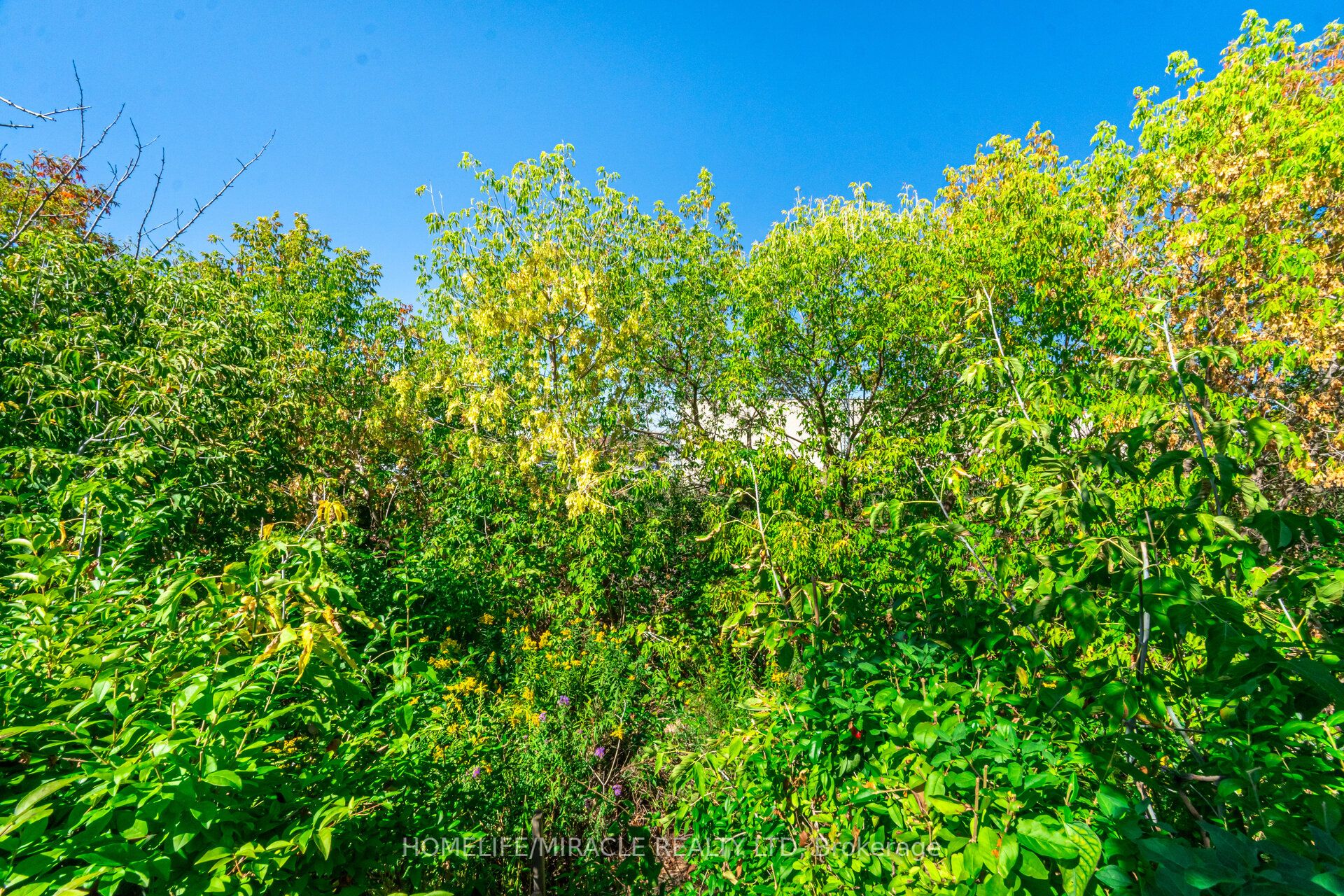 764 Eaglemount Crescent Property Photo 47