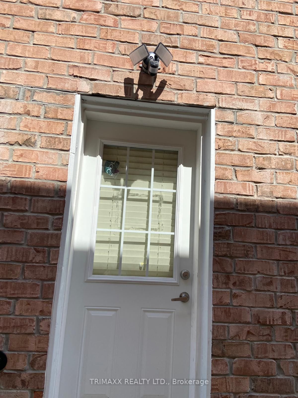 7 Vinewood Road Basement Property Photo 3