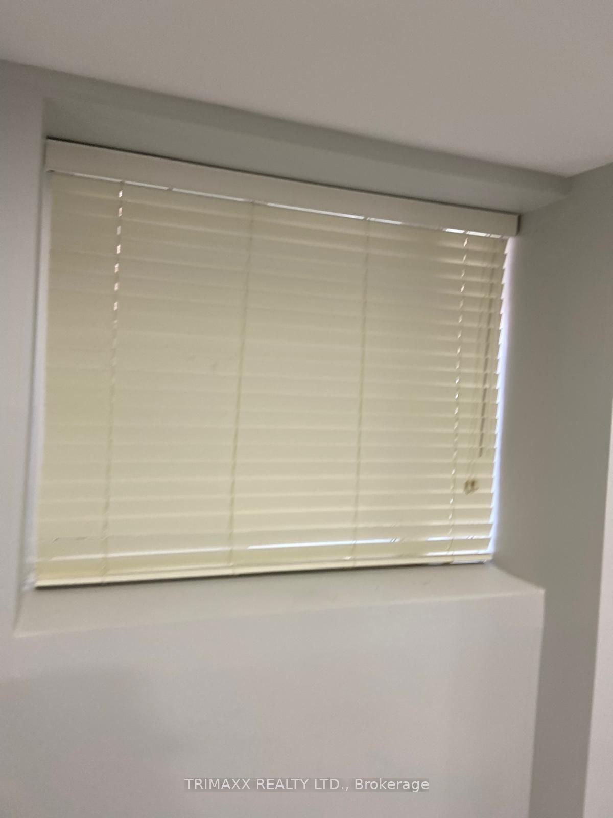 7 Vinewood Road Basement Property Photo 20