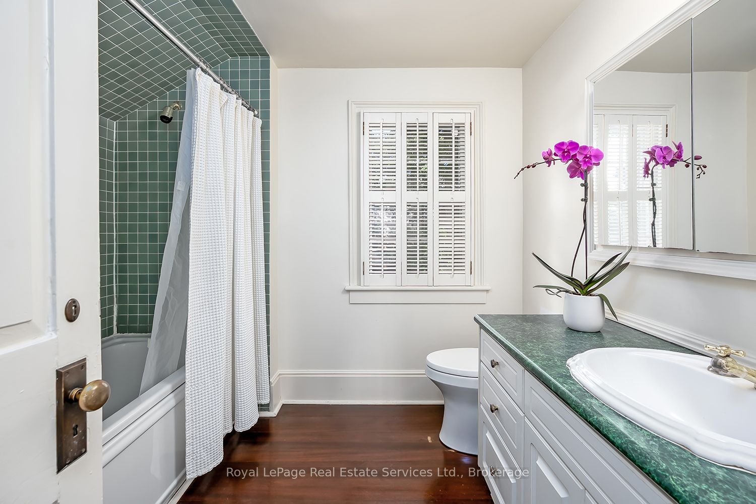53 Thomas Street Property Photo 37