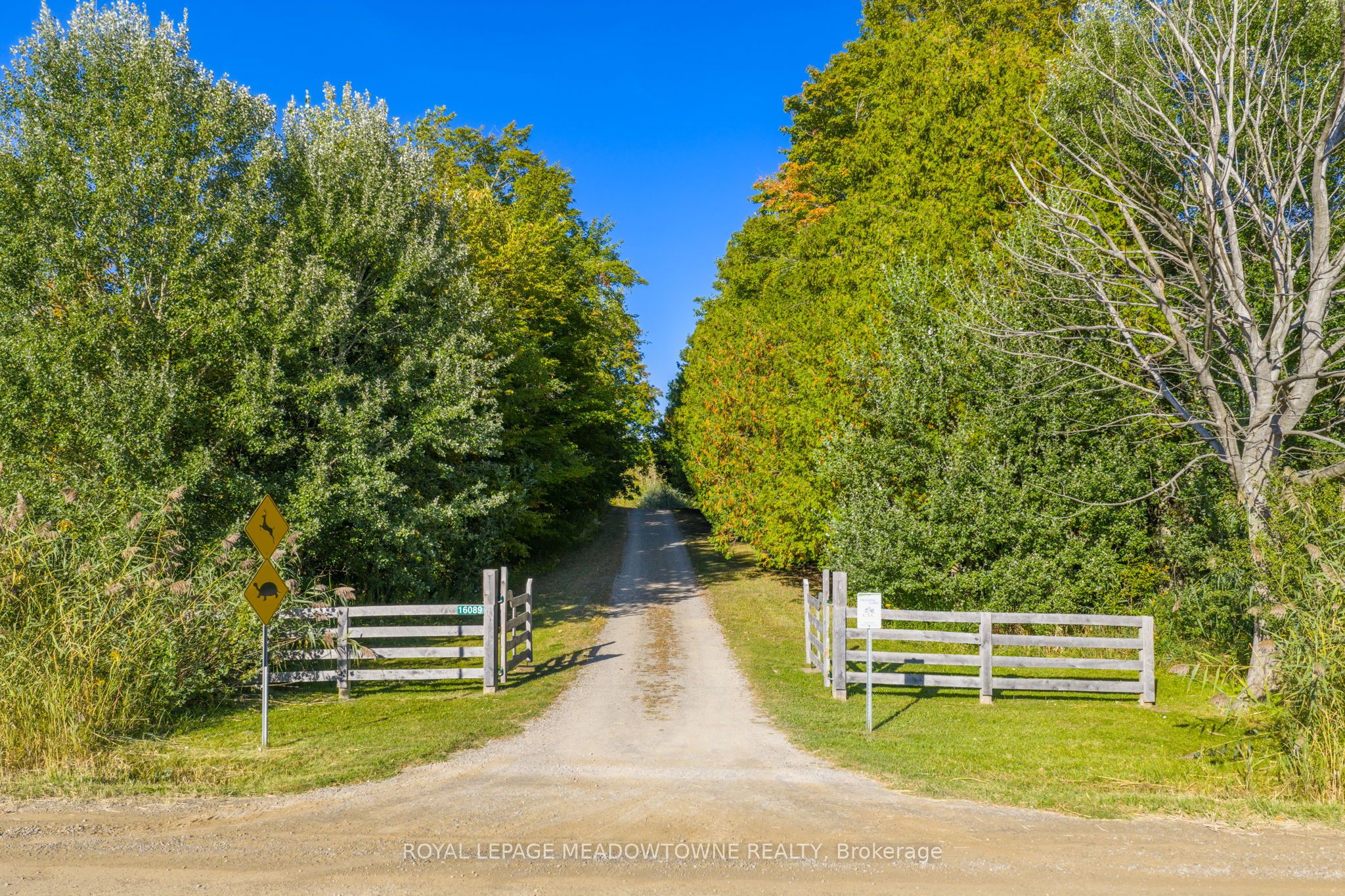 16089 Shaws Creek Road Property Photo 38