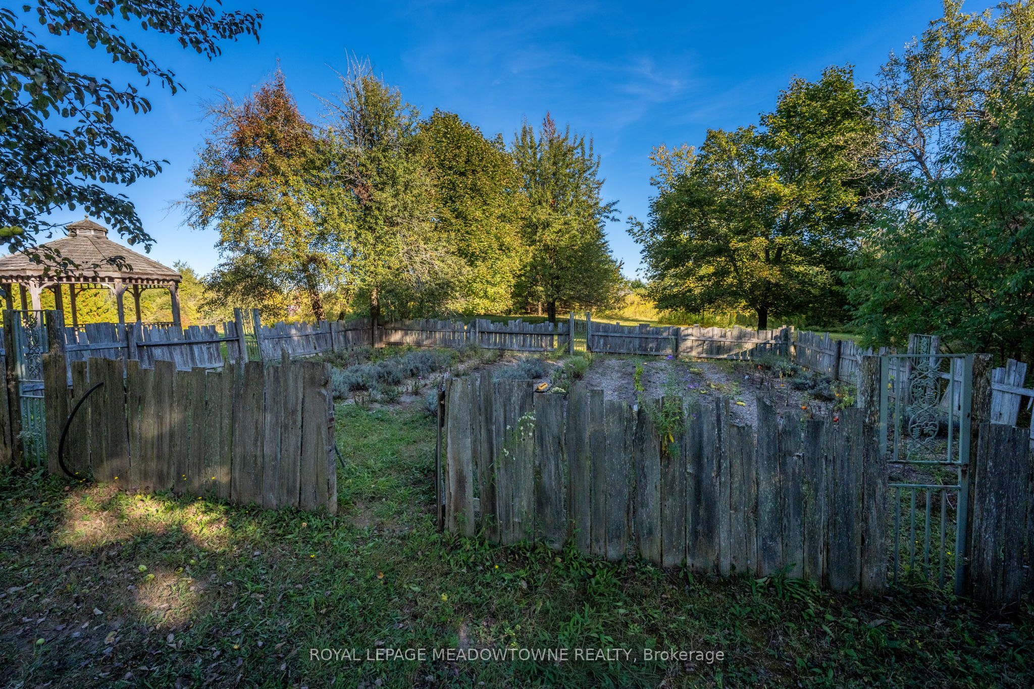 16089 Shaws Creek Road Property Photo 41