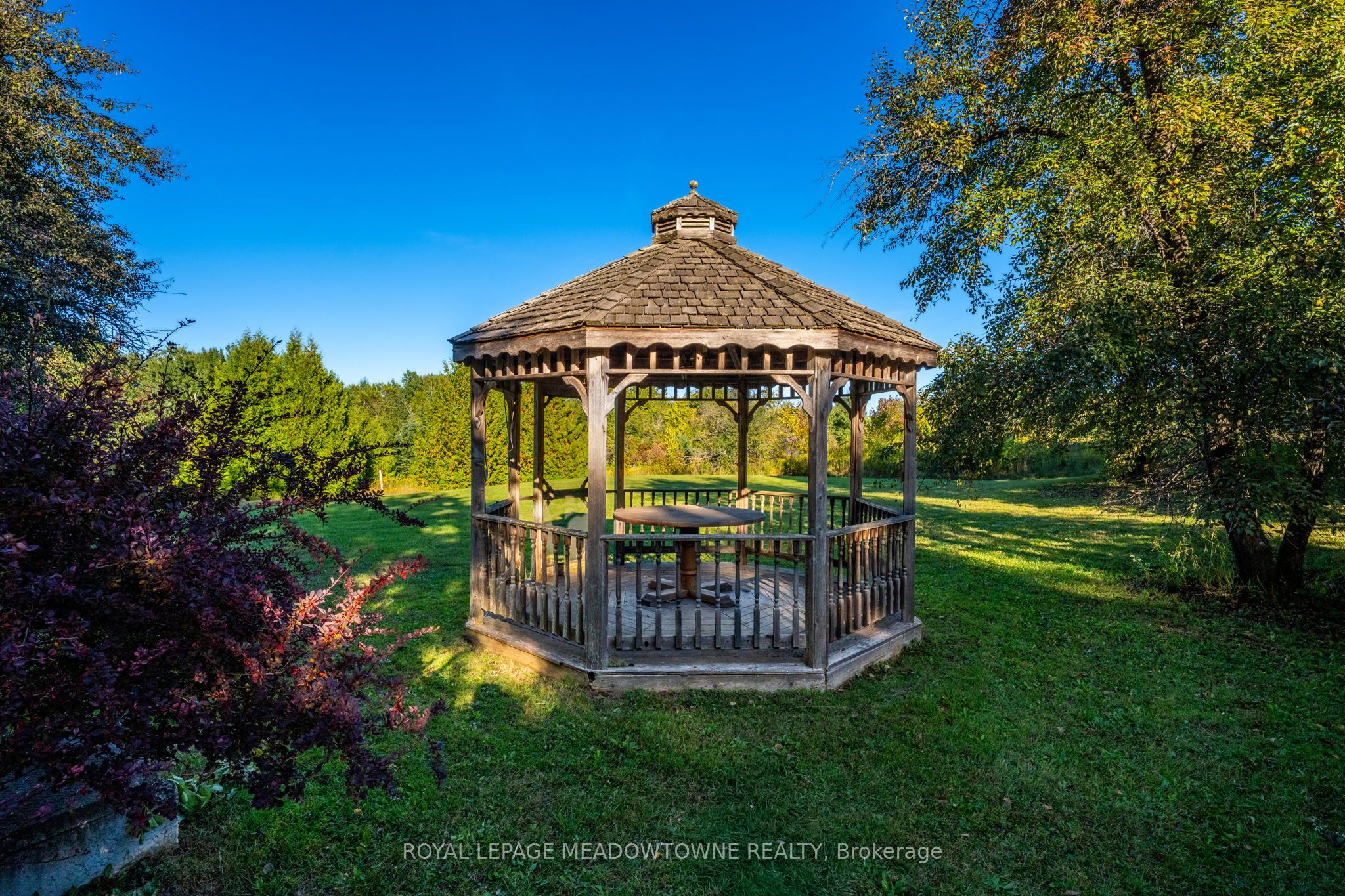 16089 Shaws Creek Road Property Photo 42