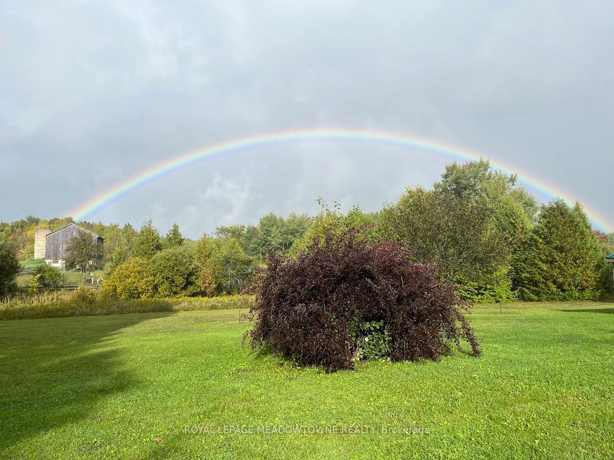 16089 Shaws Creek Road Property Photo 44