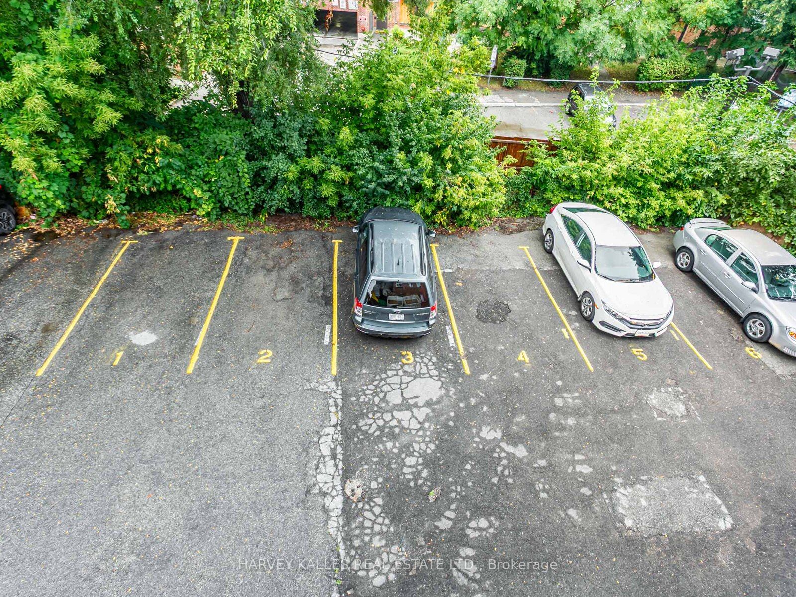 25 Windermere Avenue Property Photo 19