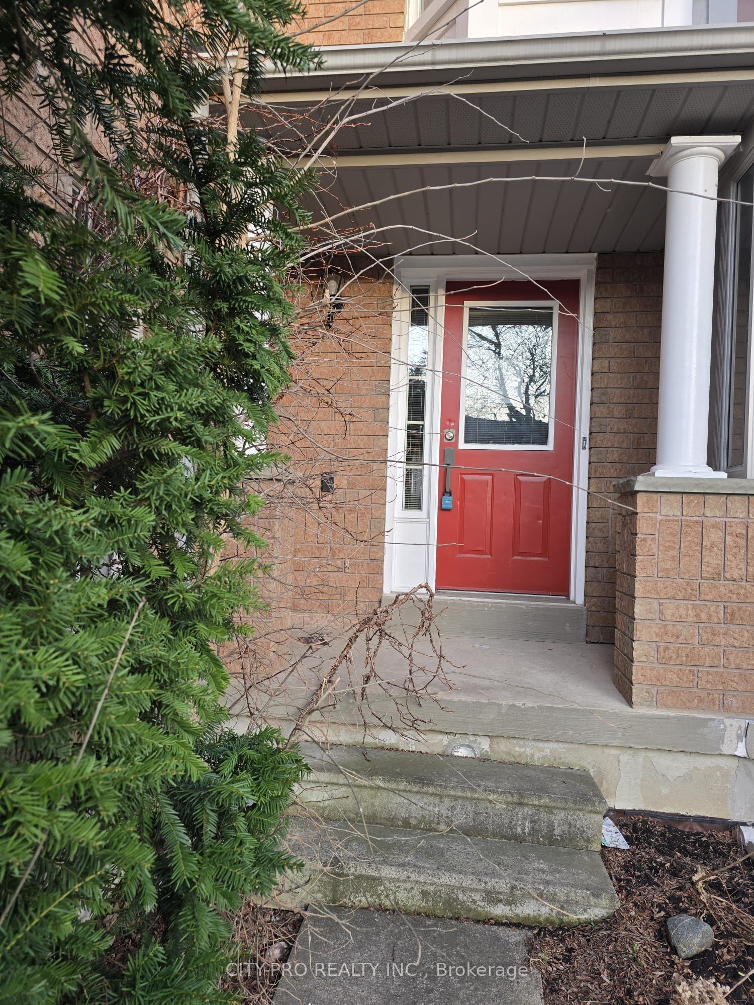 55 Rain Lily Lane Property Photo 1