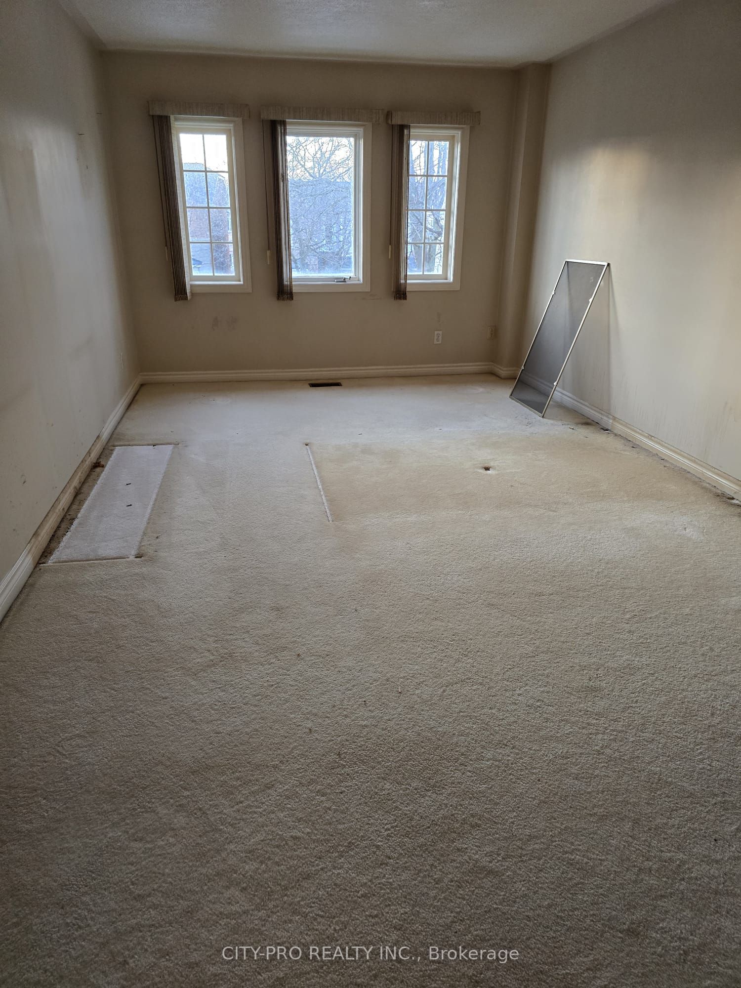 55 Rain Lily Lane Property Photo 6