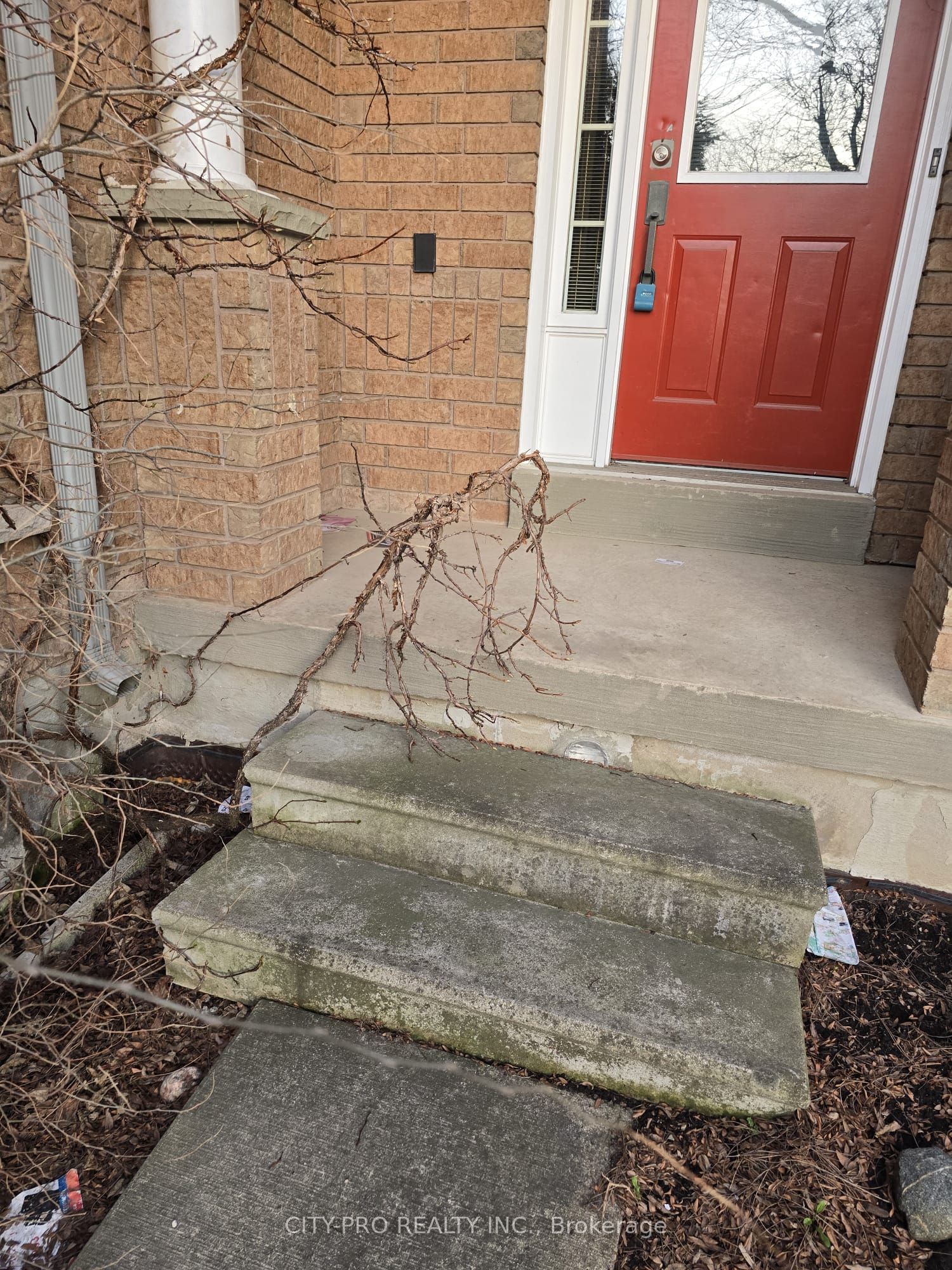 55 Rain Lily Lane Property Photo 13