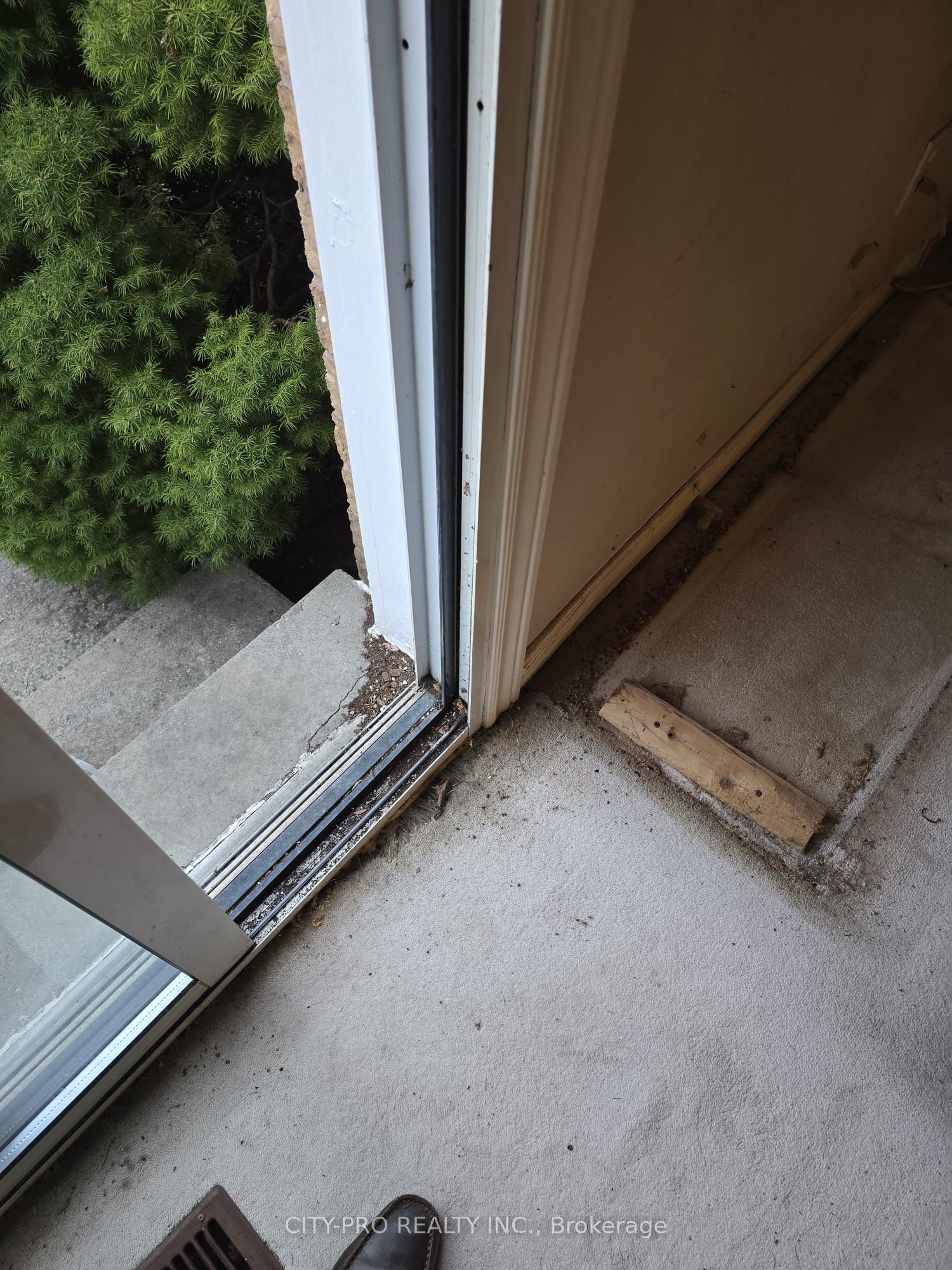 55 Rain Lily Lane Property Photo 14