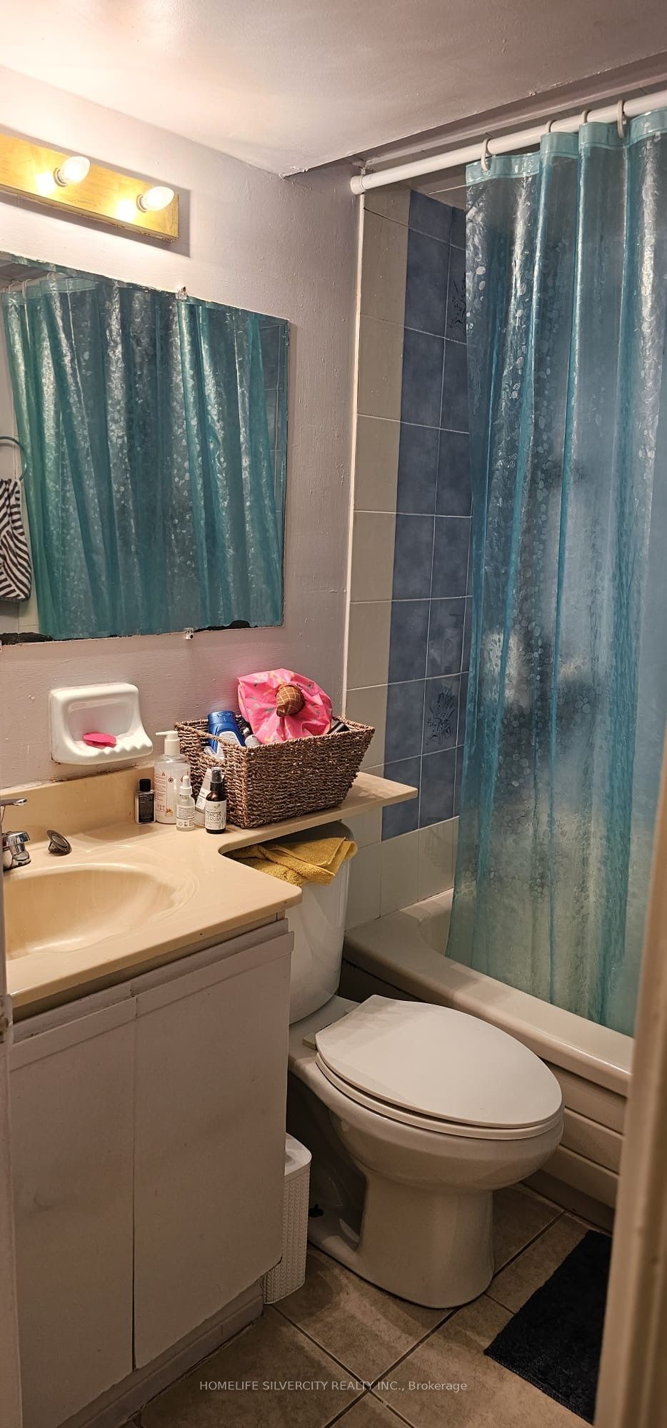 498 Meadows Boulevard Basement Property Photo 6