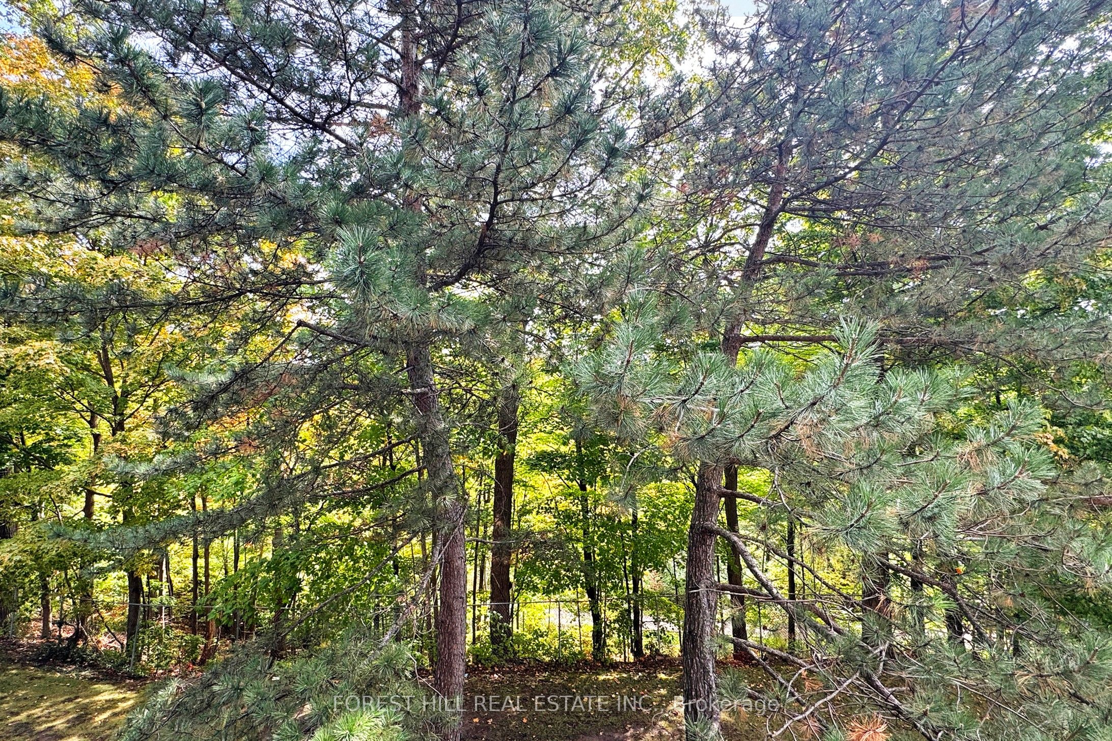 15 London Green Court 308 Property Photo 34