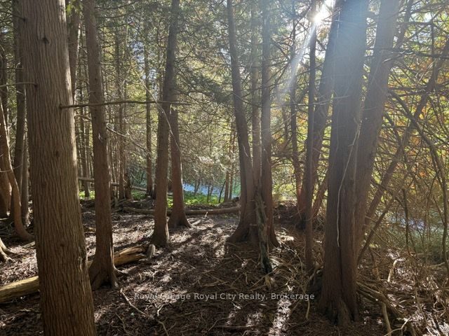 0 Queen Street E Property Photo 2