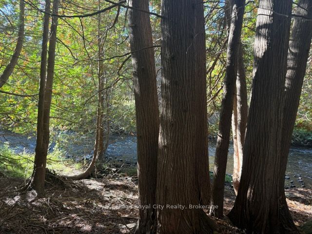 0 Queen Street E Property Photo 3