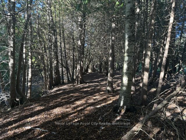 0 Queen Street E Property Photo 4