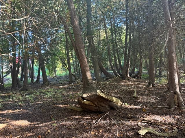 0 Queen Street E Property Photo 5