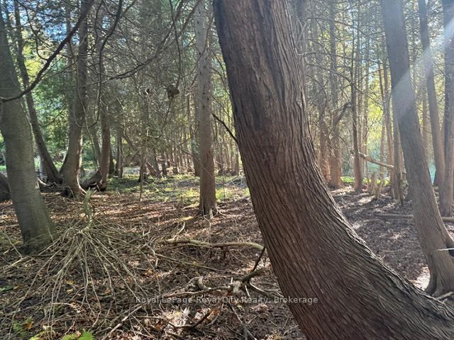 0 Queen Street E Property Photo 6