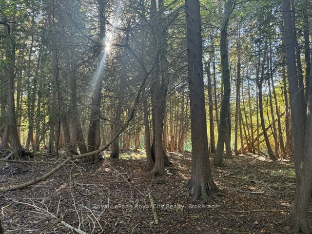 0 Queen Street E Property Photo 7