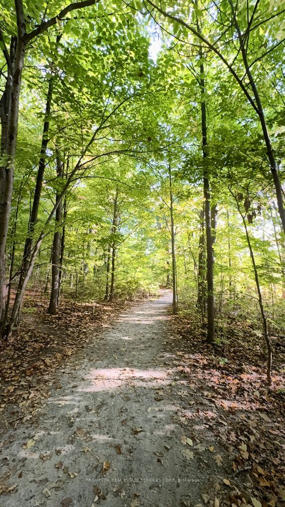 405 Dundas Street W 715 Property Photo 33