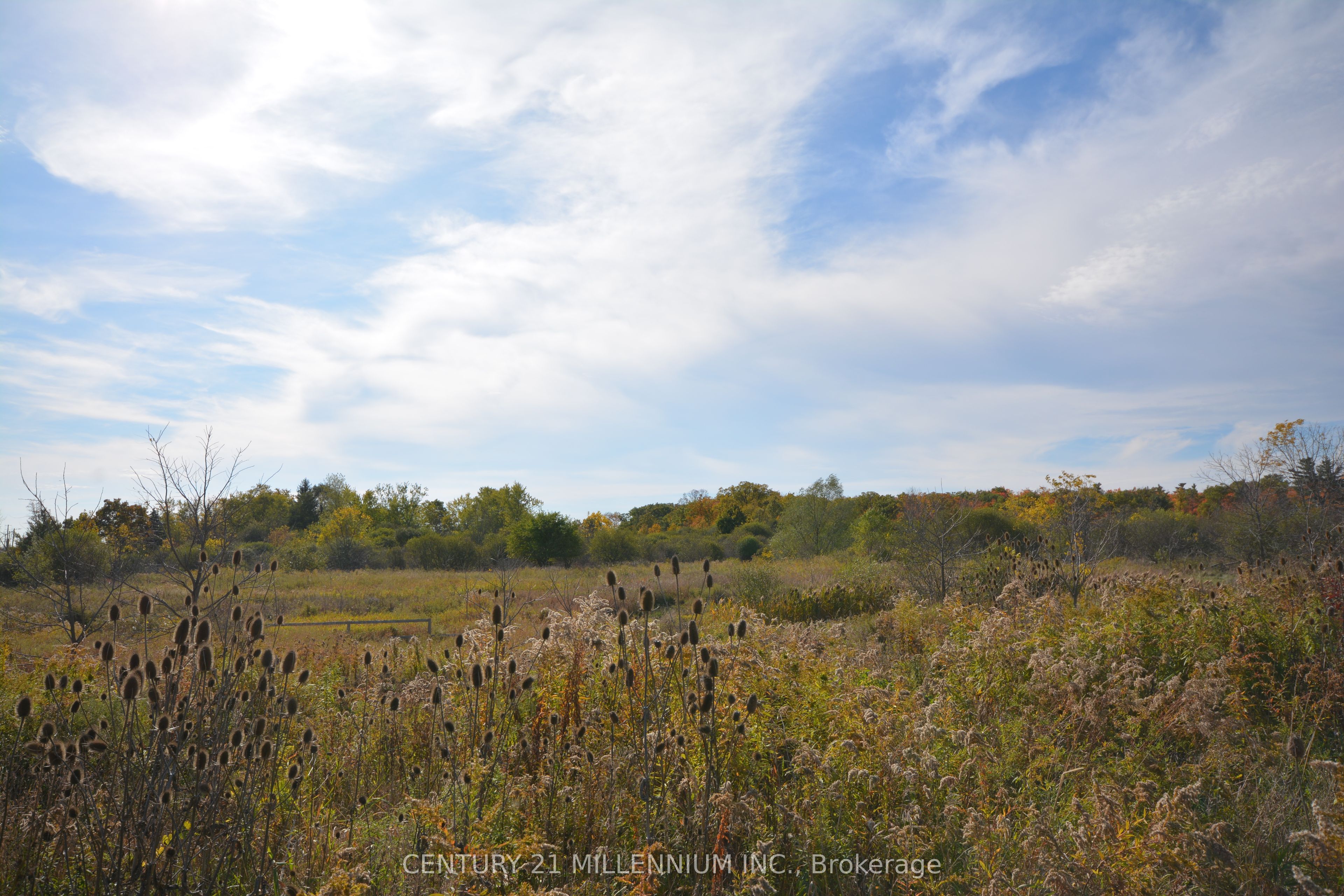 4022 Fourth Line N/a Property Photo 2