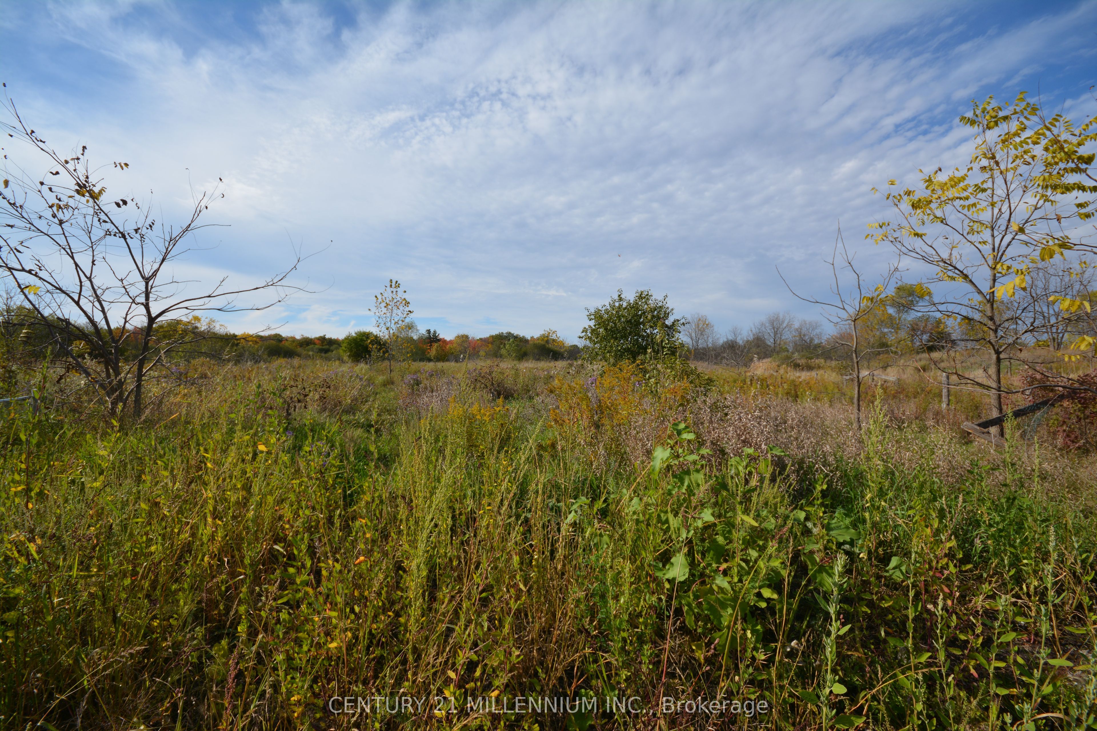 4022 Fourth Line N/a Property Photo 5