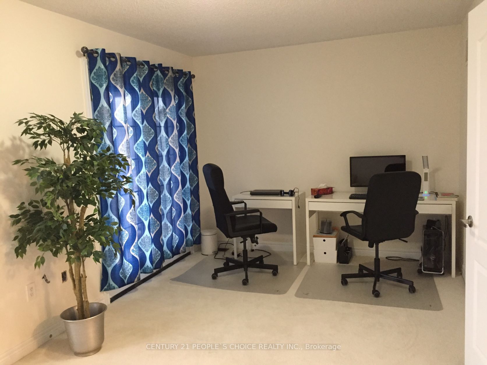 71 Buchanan Crescent Upper Property Photo 14