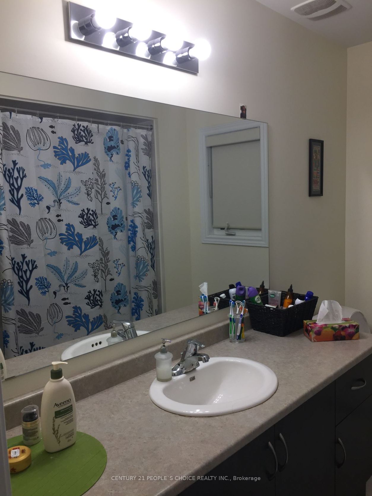 71 Buchanan Crescent Upper Property Photo 19