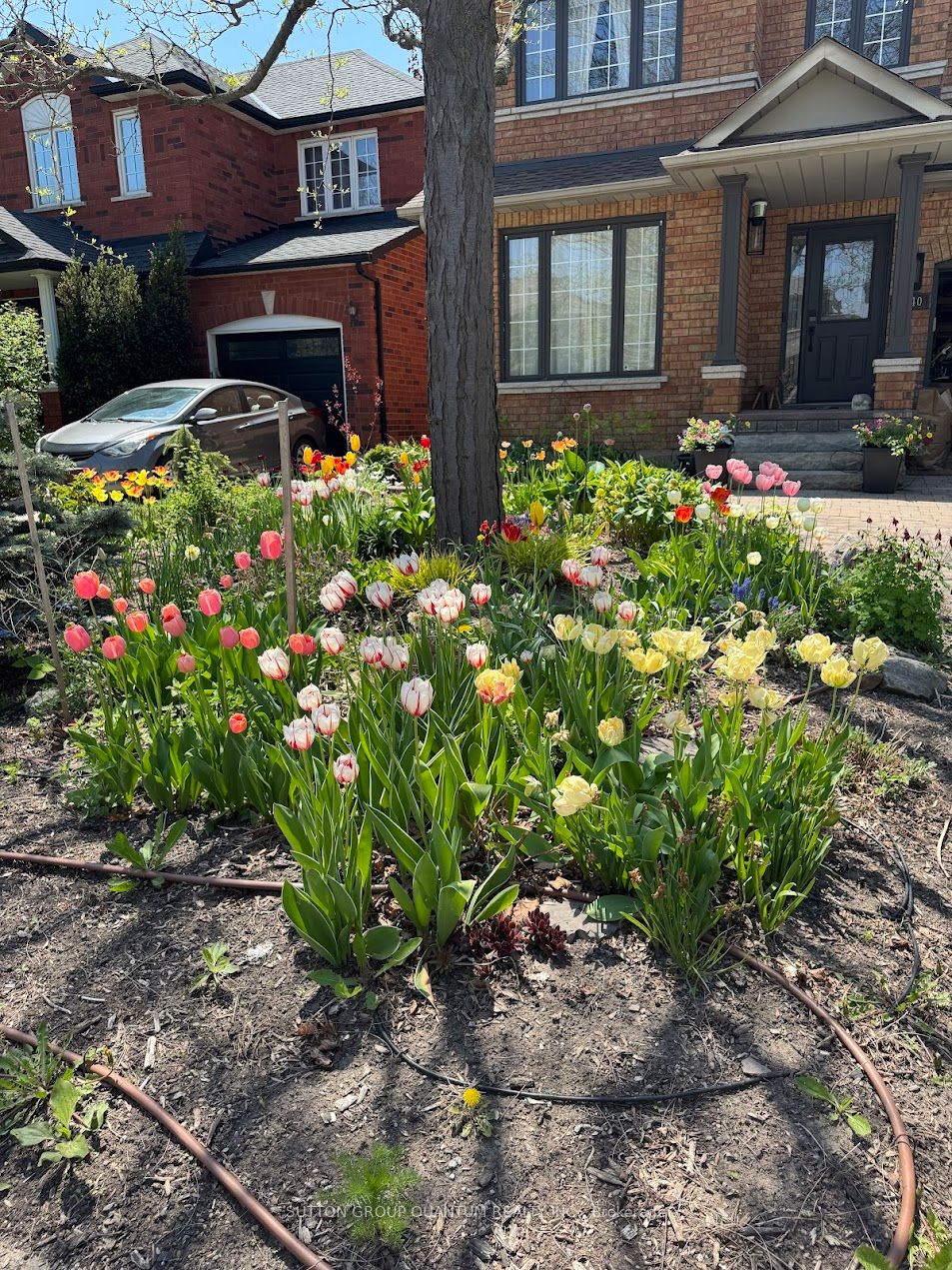 2140 Nightstar Drive Property Photo 4