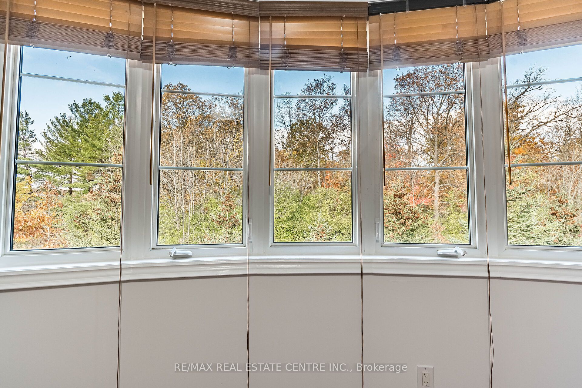 931 Syndenham Lane Property Photo 24