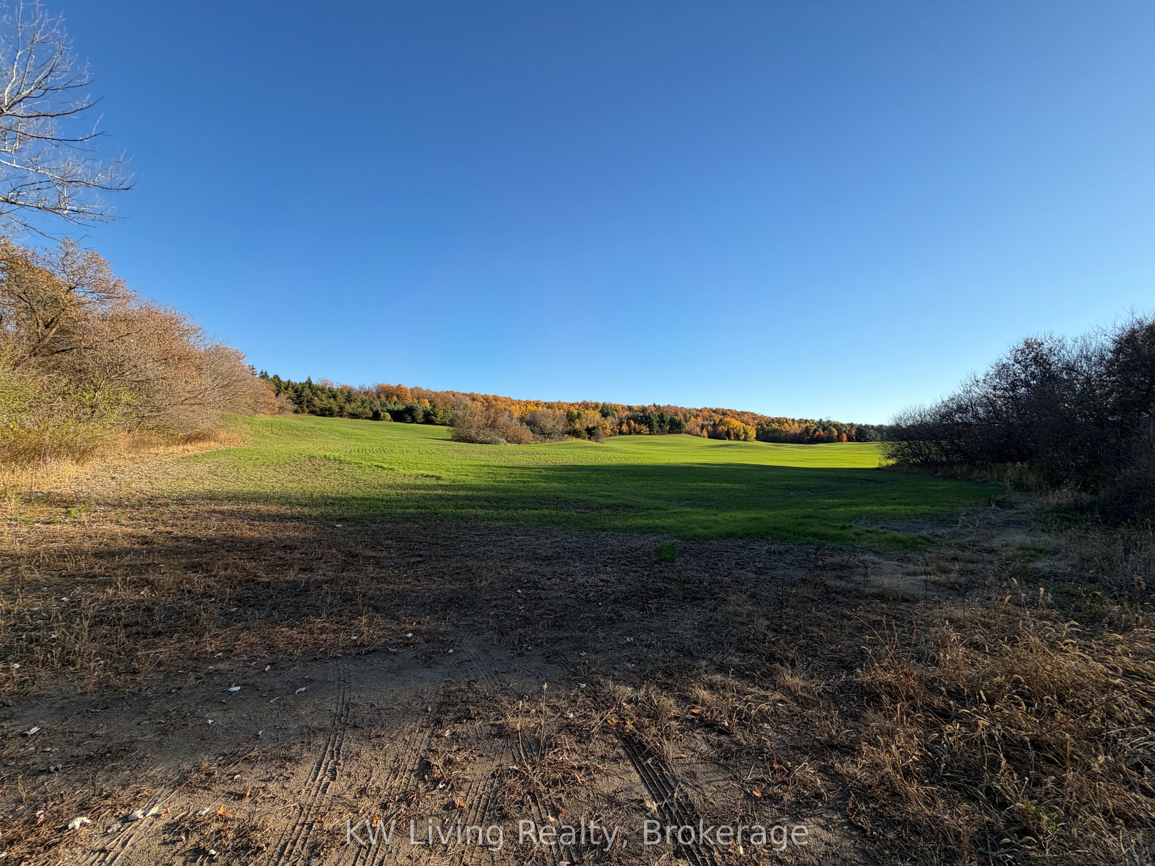 16724 Mount Wolfe Road Property Photo 1