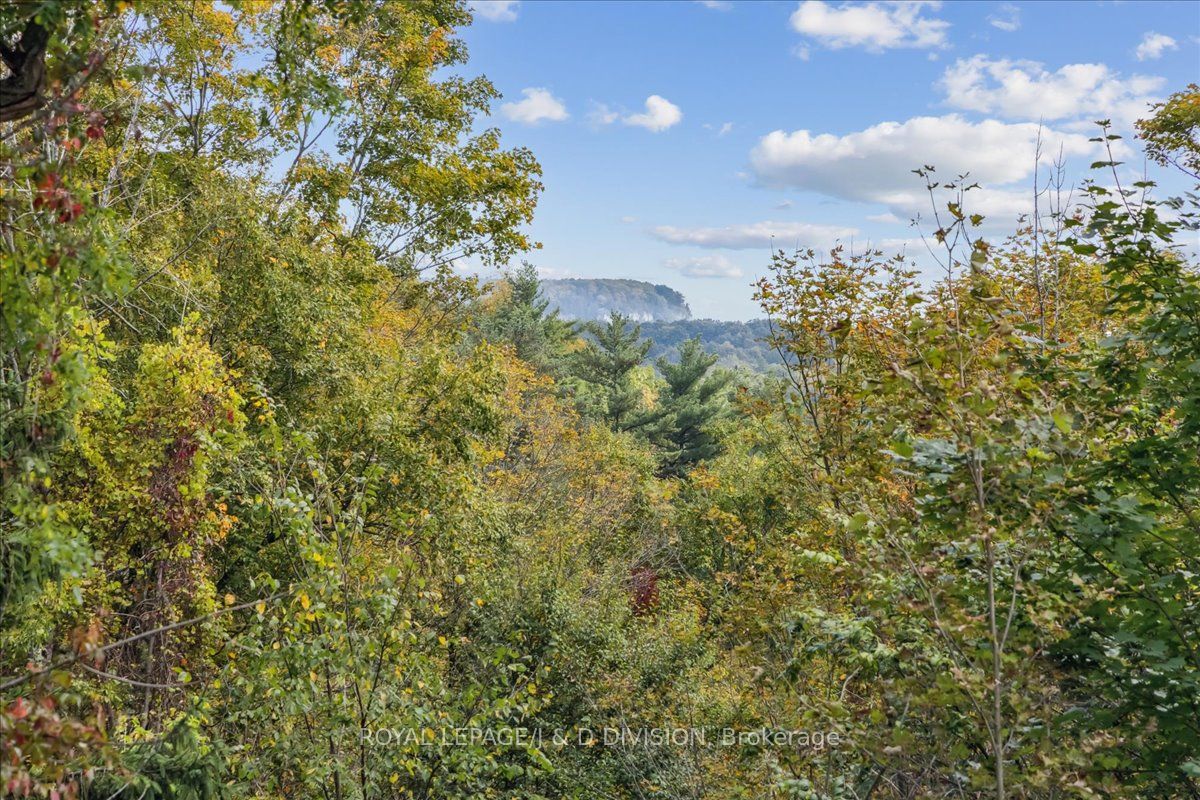 7095 Guelph Line Property Photo 1