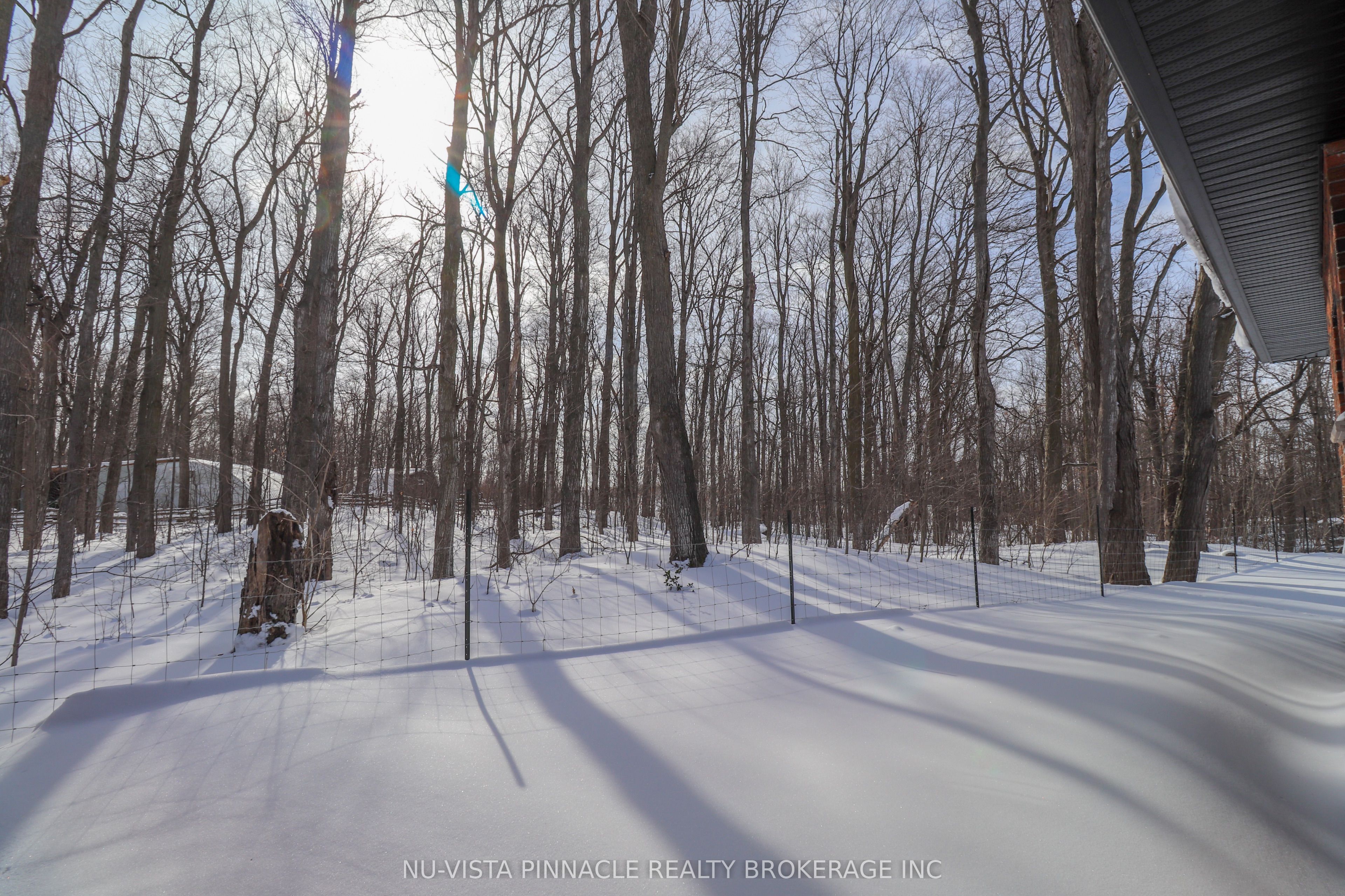 7142 Highway 7 Property Photo 48