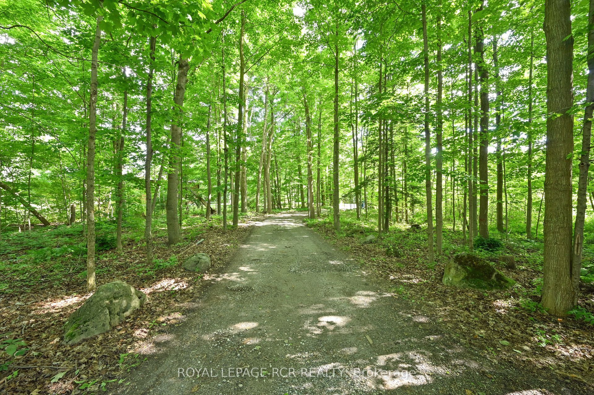 14007 Fifth Line Property Photo 19
