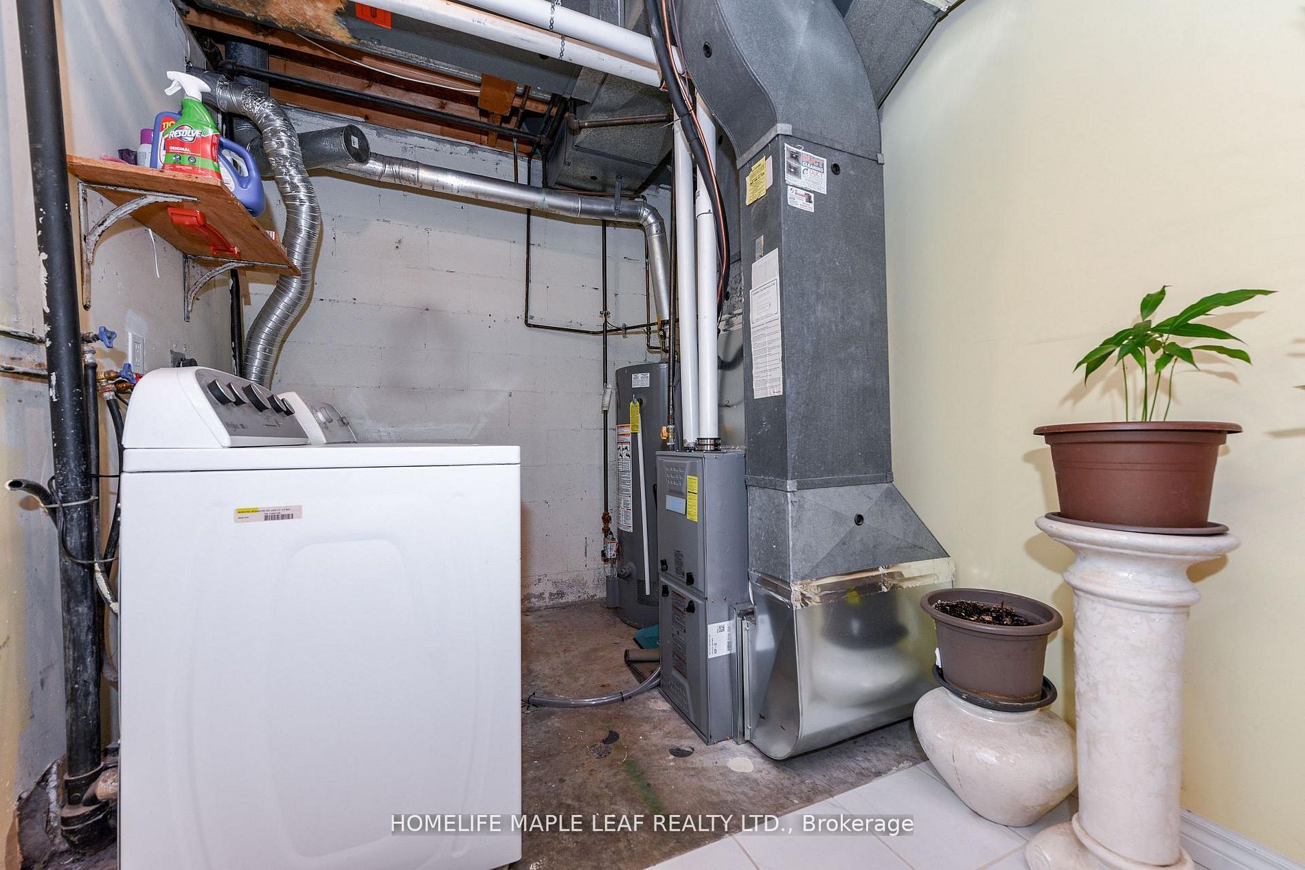 85 Enmount Drive Property Photo 8