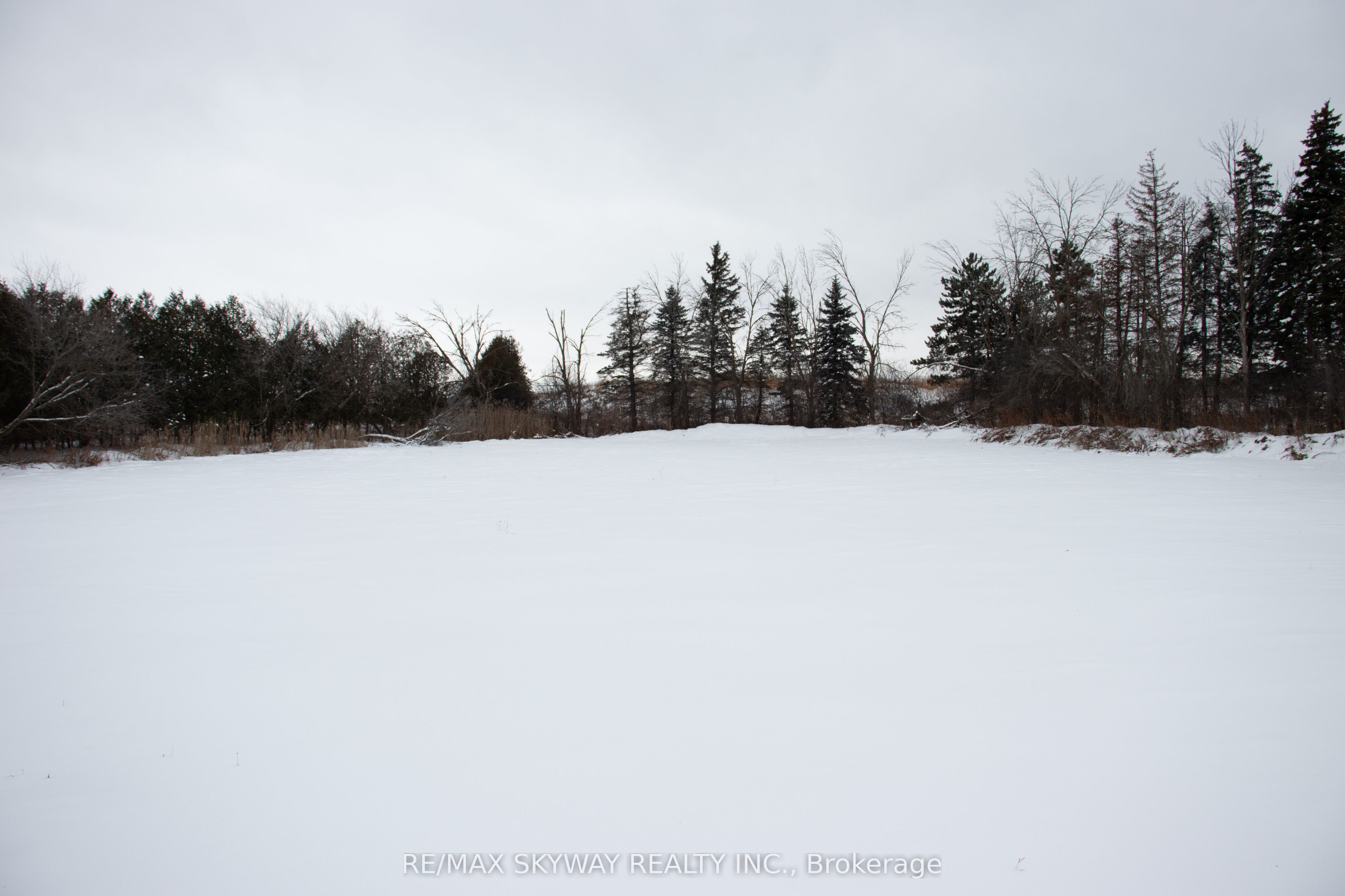 14182 Highway 50 Property Photo 7
