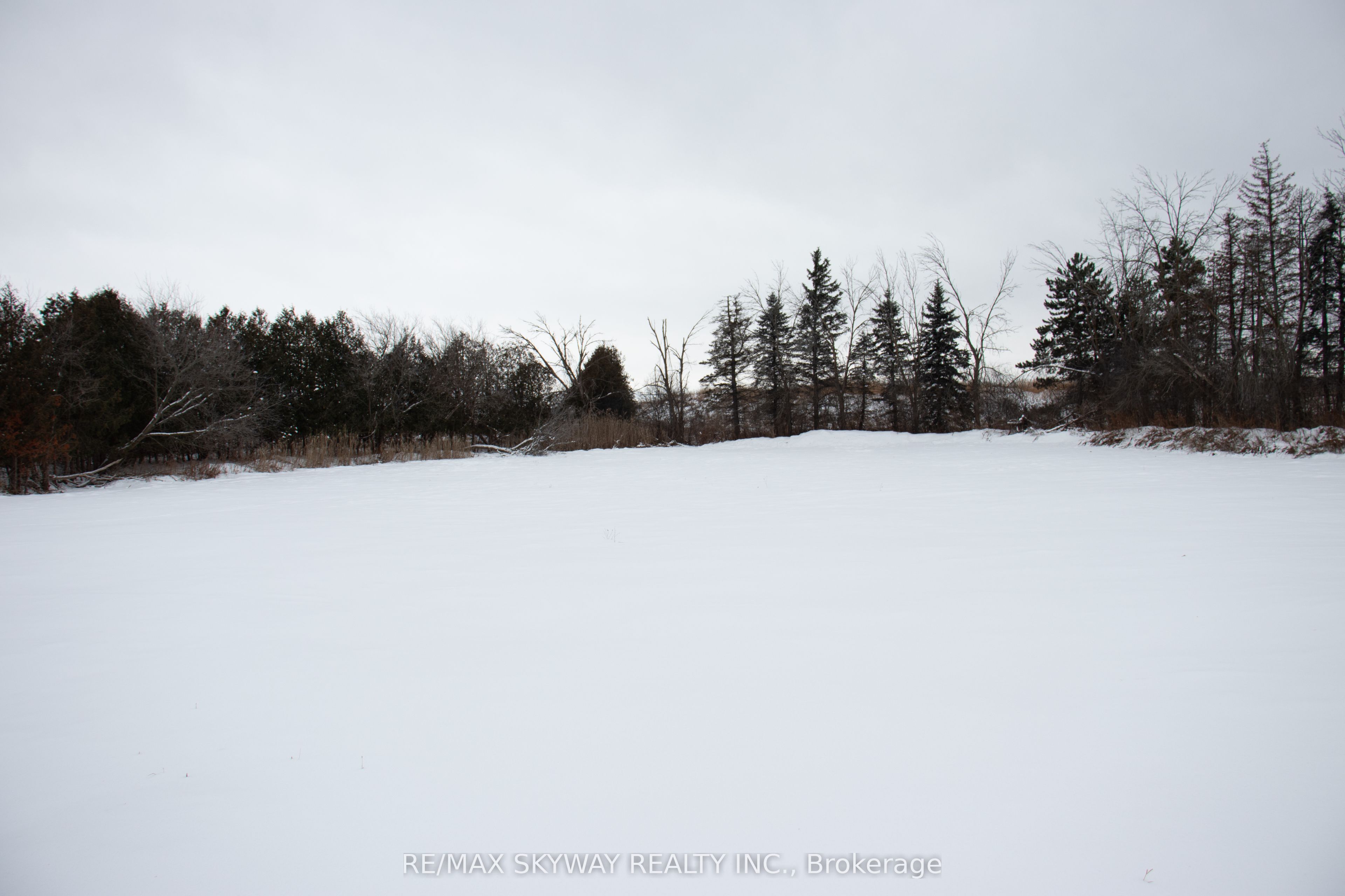 14182 Highway 50 Property Photo 9