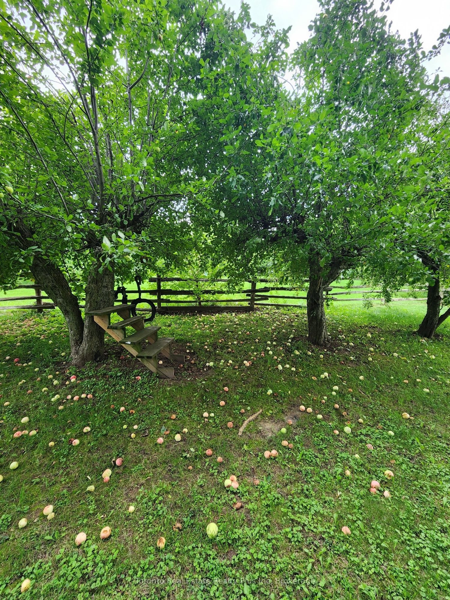 1215 Britannia Road Property Photo 15