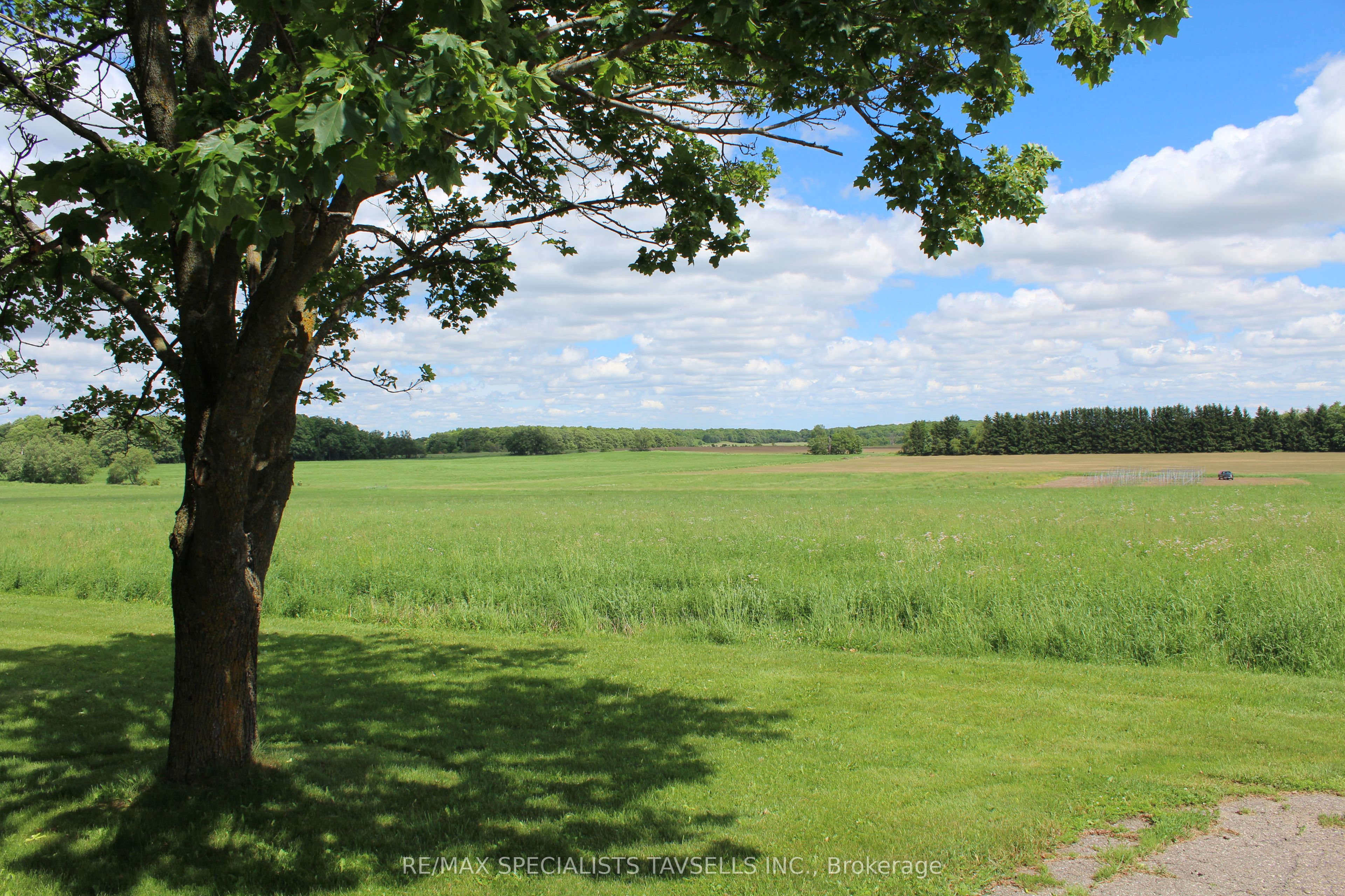 18161 St Andrews Road Property Photo 4