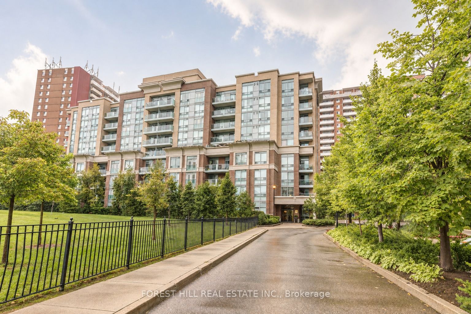 17 Michael Power Place 709