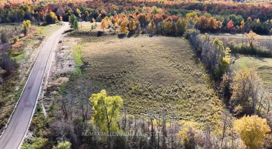 4250 Donaldson Lane Property Photo 8