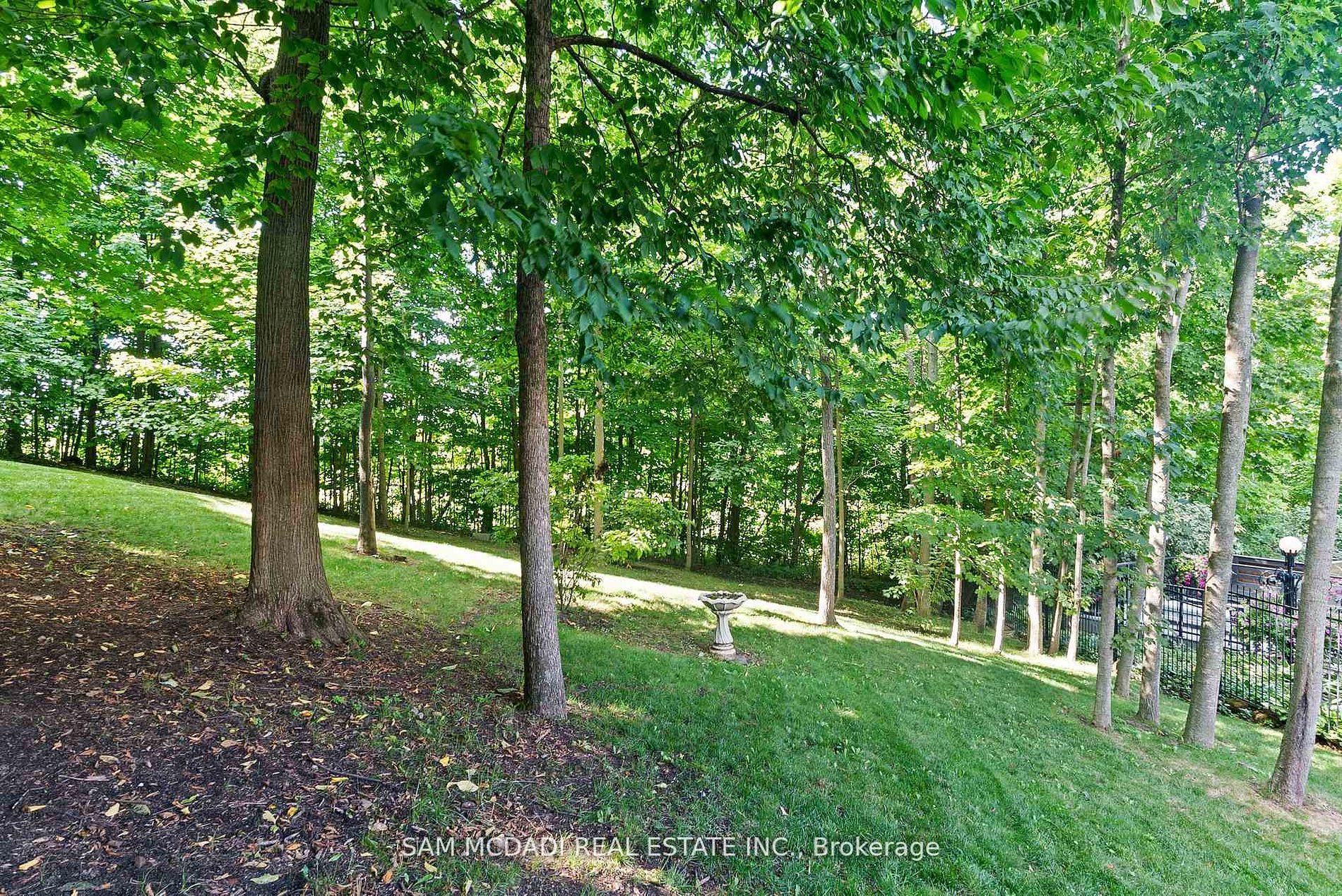 10140 Pineview Trail Property Photo 47