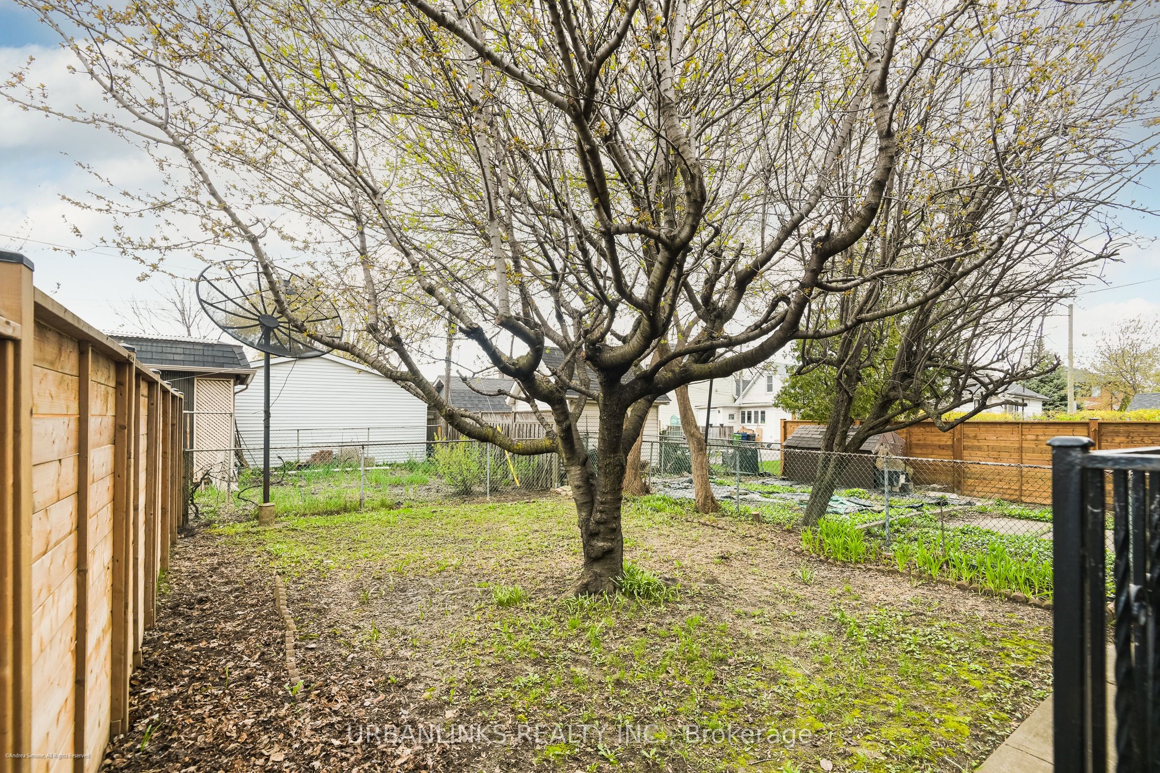 78 Evans Avenue Property Photo 26