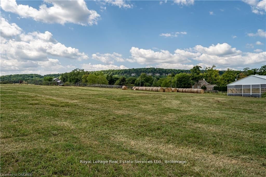 4197 Walkers Line Property Photo 3