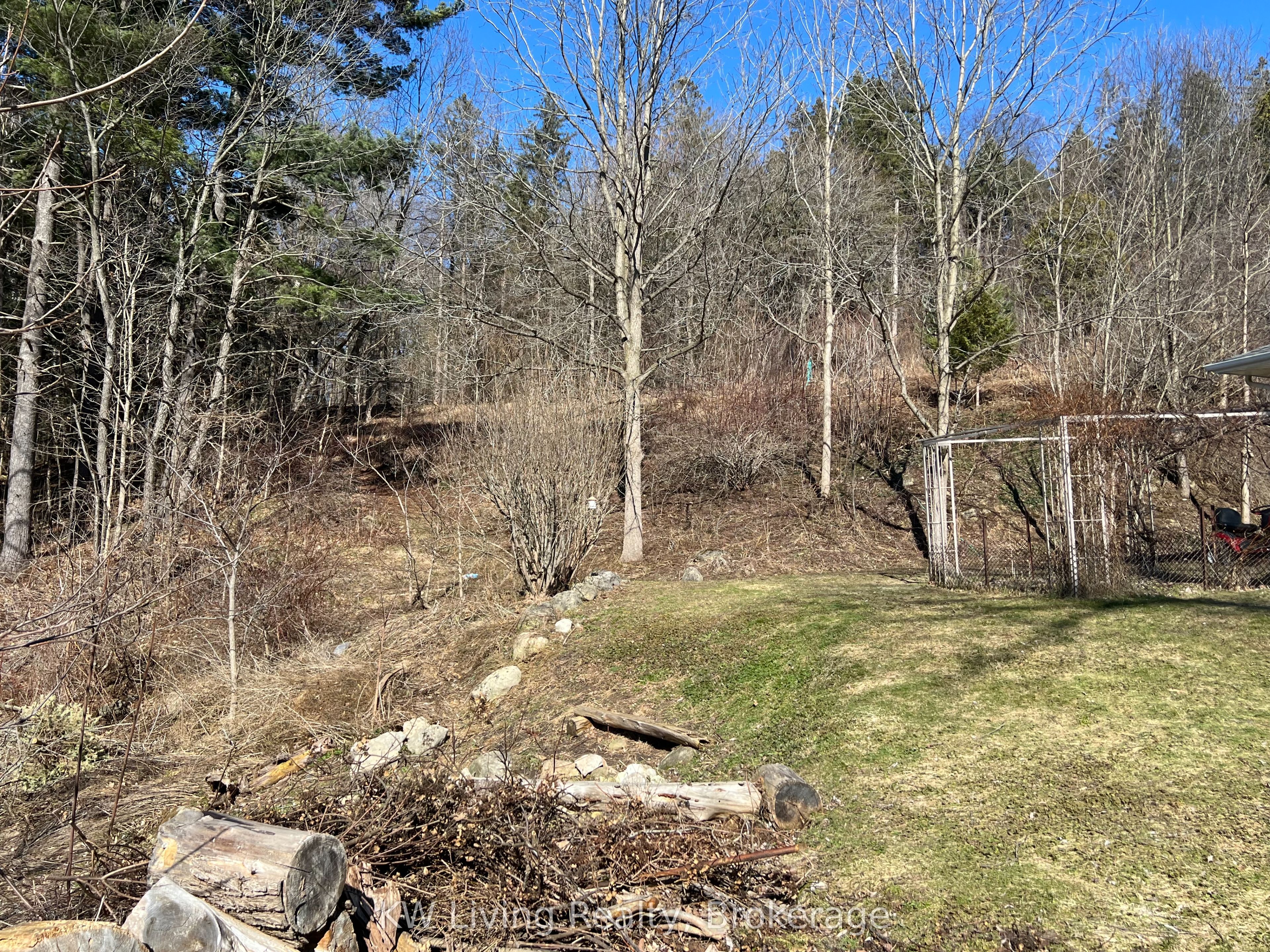 5467 Cedar Springs Road Property Photo 35